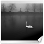 swan 20  x 20  Unframed Canvas Print 19 x19.27  Canvas - 1