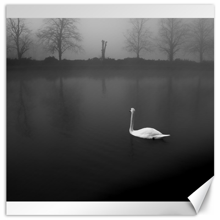 swan 20  x 20  Unframed Canvas Print