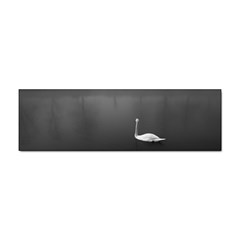 Swan Bumper Sticker