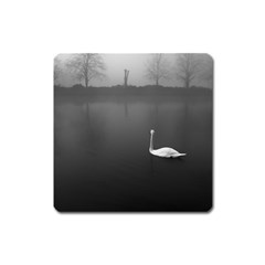 Swan Large Sticker Magnet (square) by artposters