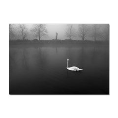 Swan 100 Pack A4 Sticker by artposters