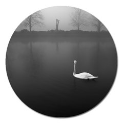 Swan Extra Large Sticker Magnet (round) by artposters