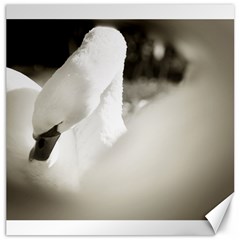 Swan 20  X 20  Unframed Canvas Print by artposters