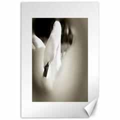 Swan 24  X 36  Unframed Canvas Print by artposters