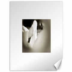 Swan 36  X 48  Unframed Canvas Print by artposters