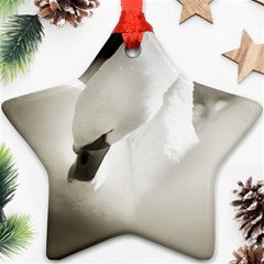 Swan Twin-sided Ceramic Ornament (star) by artposters