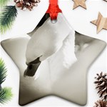 swan Twin-sided Ceramic Ornament (Star) Back