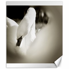 Swan 20  X 24  Unframed Canvas Print by artposters