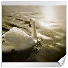 Swan 20  X 20  Unframed Canvas Print by artposters