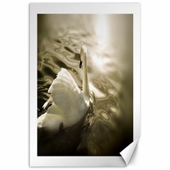 Swan 20  X 30  Unframed Canvas Print