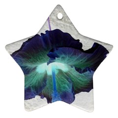 Exotic Hybiscus   Ceramic Ornament (star) by dawnsebaughinc