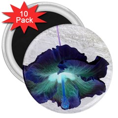 Exotic Hybiscus   10 Pack Large Magnet (round) by dawnsebaughinc