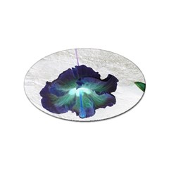 Exotic Hybiscus   Sticker (oval) by dawnsebaughinc