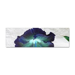 Exotic Hybiscus   Bumper Sticker