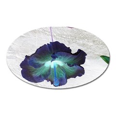 Exotic Hybiscus   Large Sticker Magnet (oval) by dawnsebaughinc