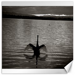 Swan, Canberra 20  X 20  Unframed Canvas Print by artposters