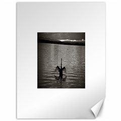 Swan, Canberra 36  X 48  Unframed Canvas Print by artposters