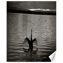 Swan, Canberra 16  X 20  Unframed Canvas Print by artposters