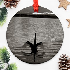 Swan, Canberra Twin-sided Ceramic Ornament (round) by artposters