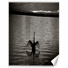 Swan, Canberra 18  X 24  Unframed Canvas Print