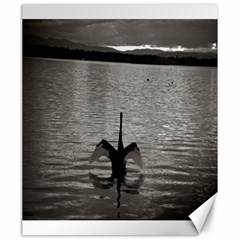 Swan, Canberra 20  X 24  Unframed Canvas Print