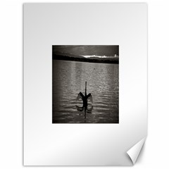 Swan, Canberra 36  X 48  Unframed Canvas Print