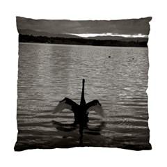 Swan, Canberra Single-sided Cushion Case