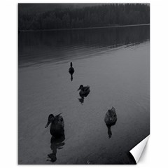 Ducks 16  X 20  Unframed Canvas Print