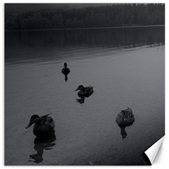 Ducks 16  X 16  Unframed Canvas Print