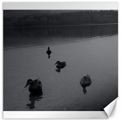 Ducks 20  X 20  Unframed Canvas Print by artposters