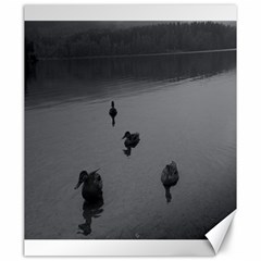 Ducks 20  X 24  Unframed Canvas Print by artposters