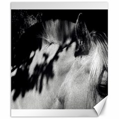 Horse 20  X 24  Unframed Canvas Print