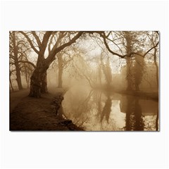 Misty Morning 10 Pack Large Postcard