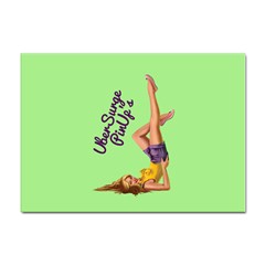 Pin Up Girl 4 100 Pack A4 Sticker