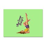 Pin Up Girl 4 100 Pack A4 Sticker Front