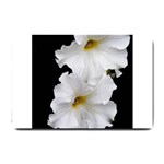 White Peonies   Small Door Mat 24 x16  Door Mat