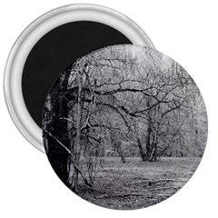 Black And White Forest Large Magnet (round)