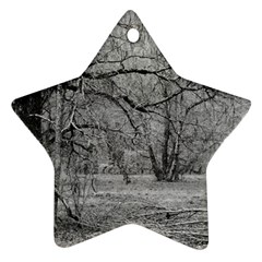 Black And White Forest Ceramic Ornament (star)