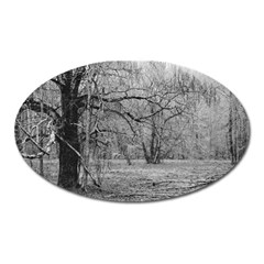 Black And White Forest Large Sticker Magnet (oval)