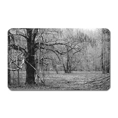 Black And White Forest Large Sticker Magnet (rectangle)