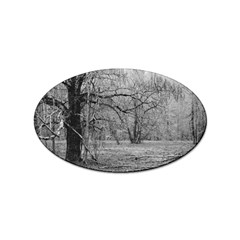 Black And White Forest 10 Pack Sticker (oval) by Elanga