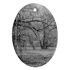 Black And White Forest Oval Ornament (two Sides) by Elanga