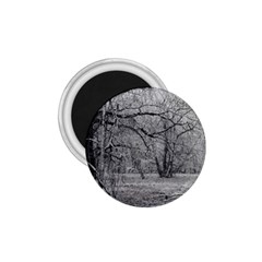 Black And White Forest Small Magnet (round) by Elanga