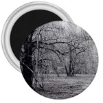 Black and White Forest Large Magnet (Round) Front