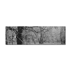 Black And White Forest Bumper Sticker