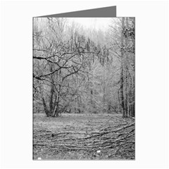 Black And White Forest 8 Pack Large Greeting Card by Elanga