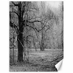 Black And White Forest 12  X 16  Unframed Canvas Print by Elanga