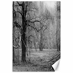 Black And White Forest 12  X 18  Unframed Canvas Print by Elanga