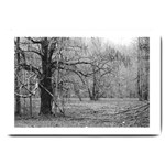 Black and White Forest Large Door Mat 30 x20  Door Mat