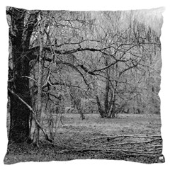 Black And White Forest Large Cushion Case (two Sides) by Elanga